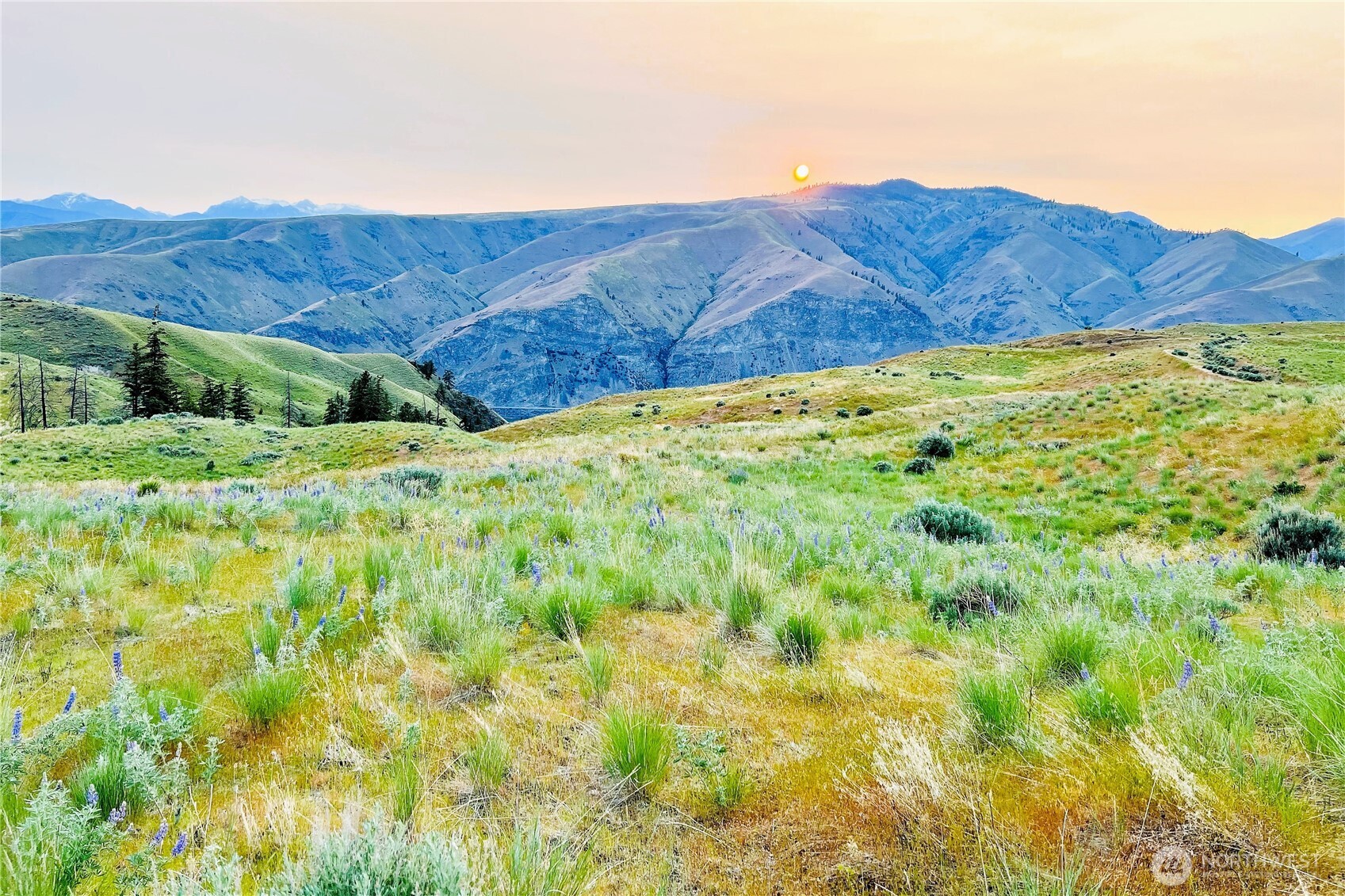 8 Blue Grade Road East Wenatchee, WA 98802 - Photo 2 of 11 a view of a lush green field with mountains in the background