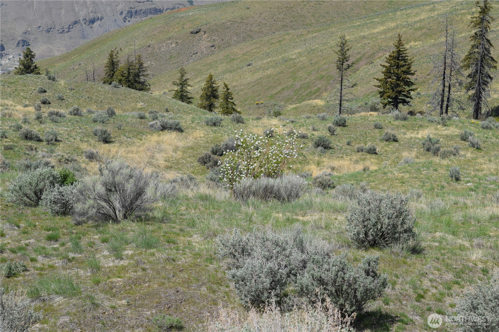 8 Blue Grade Road East Wenatchee, WA 98802 - Photo 6 of 11 a view of a dry field covered with snow in the background