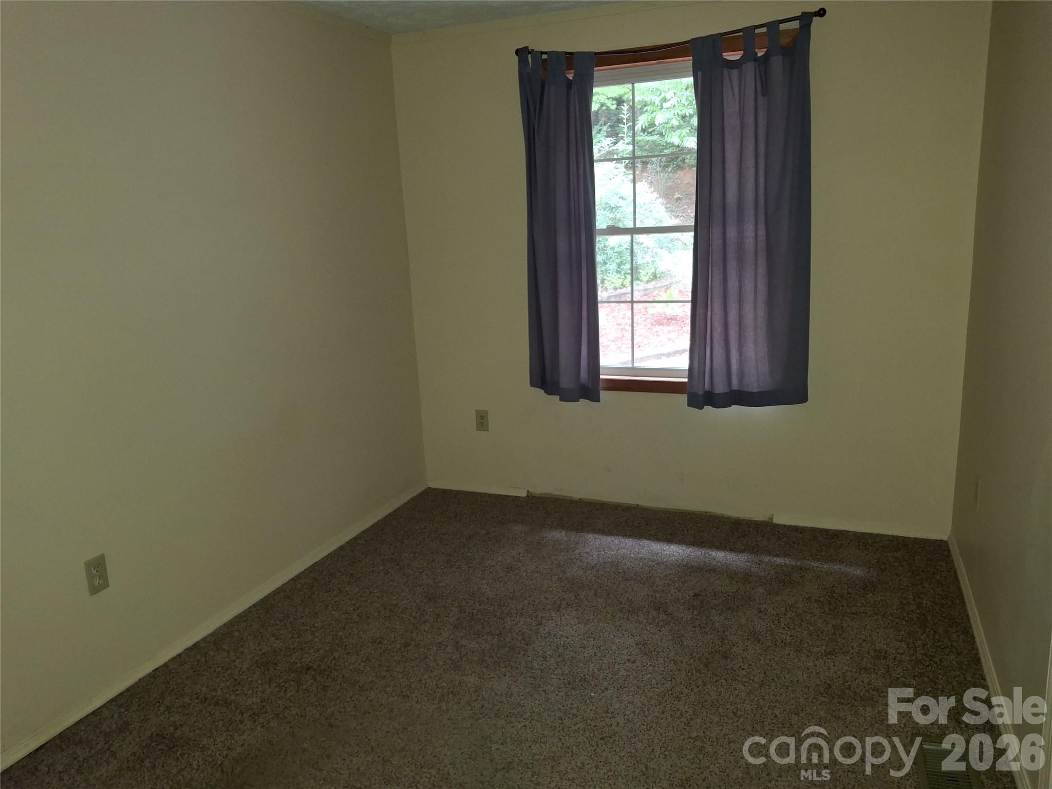 232 Tilson Street Mars Hill, NC 28754 - Photo 14 of 22