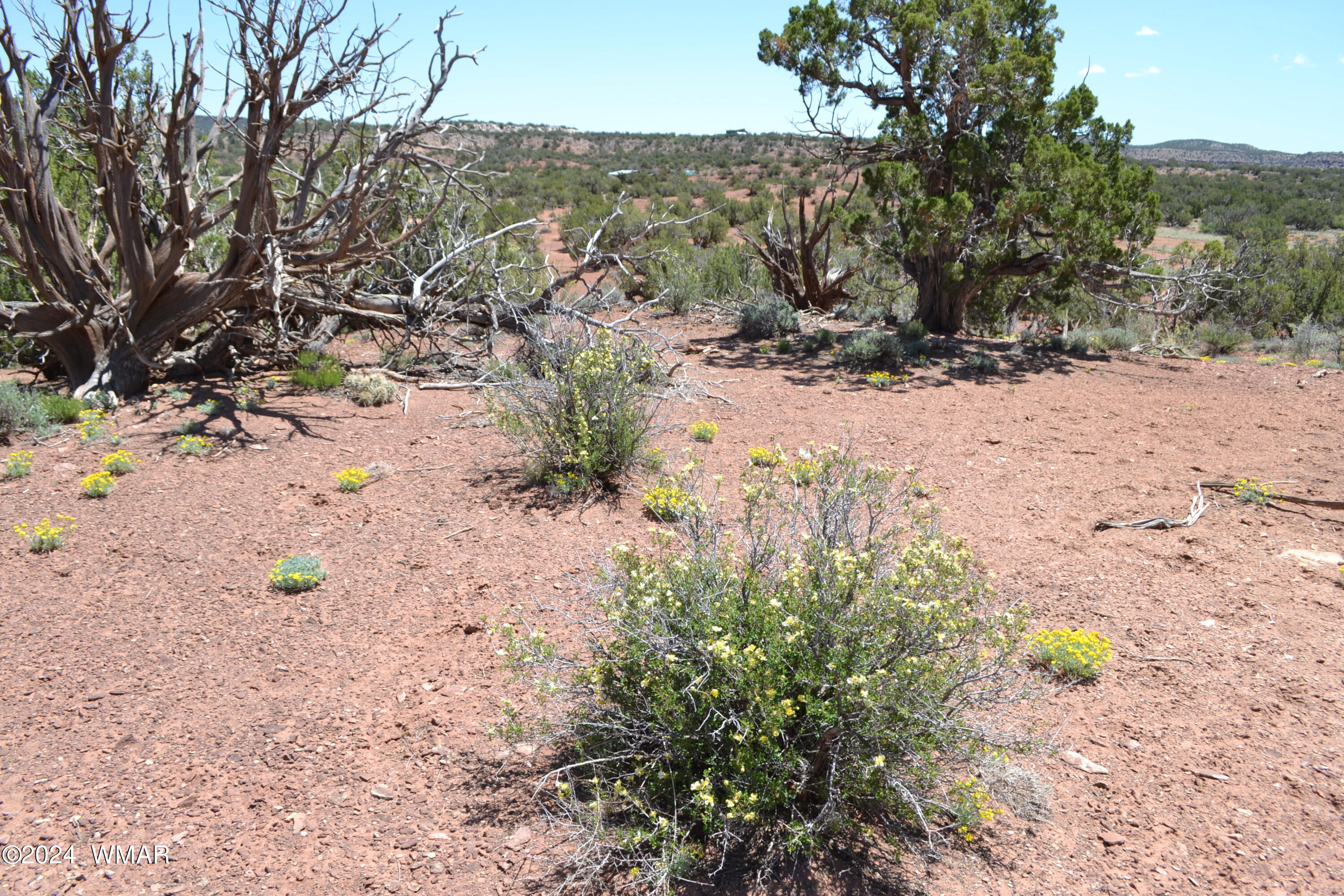 3733 Del Contento Snowflake, AZ 85937 - Photo 42 of 72 DSC_0155