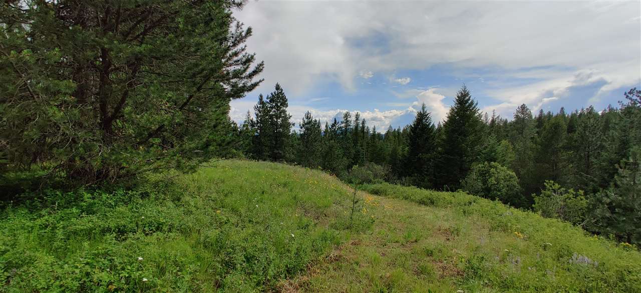 4740 Whittier Road Clayton, WA 99110 - Photo 3 of 8