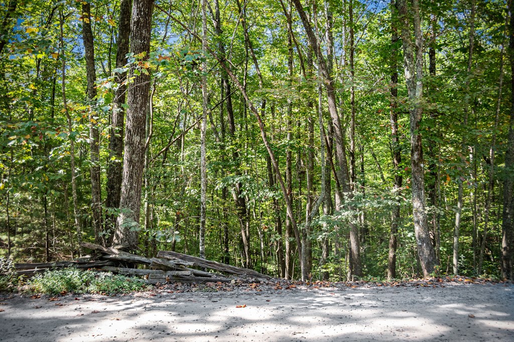 0 Broken Arrow Path Blue Ridge, GA 30513 - Photo 23 of 30 Gallery Image 23