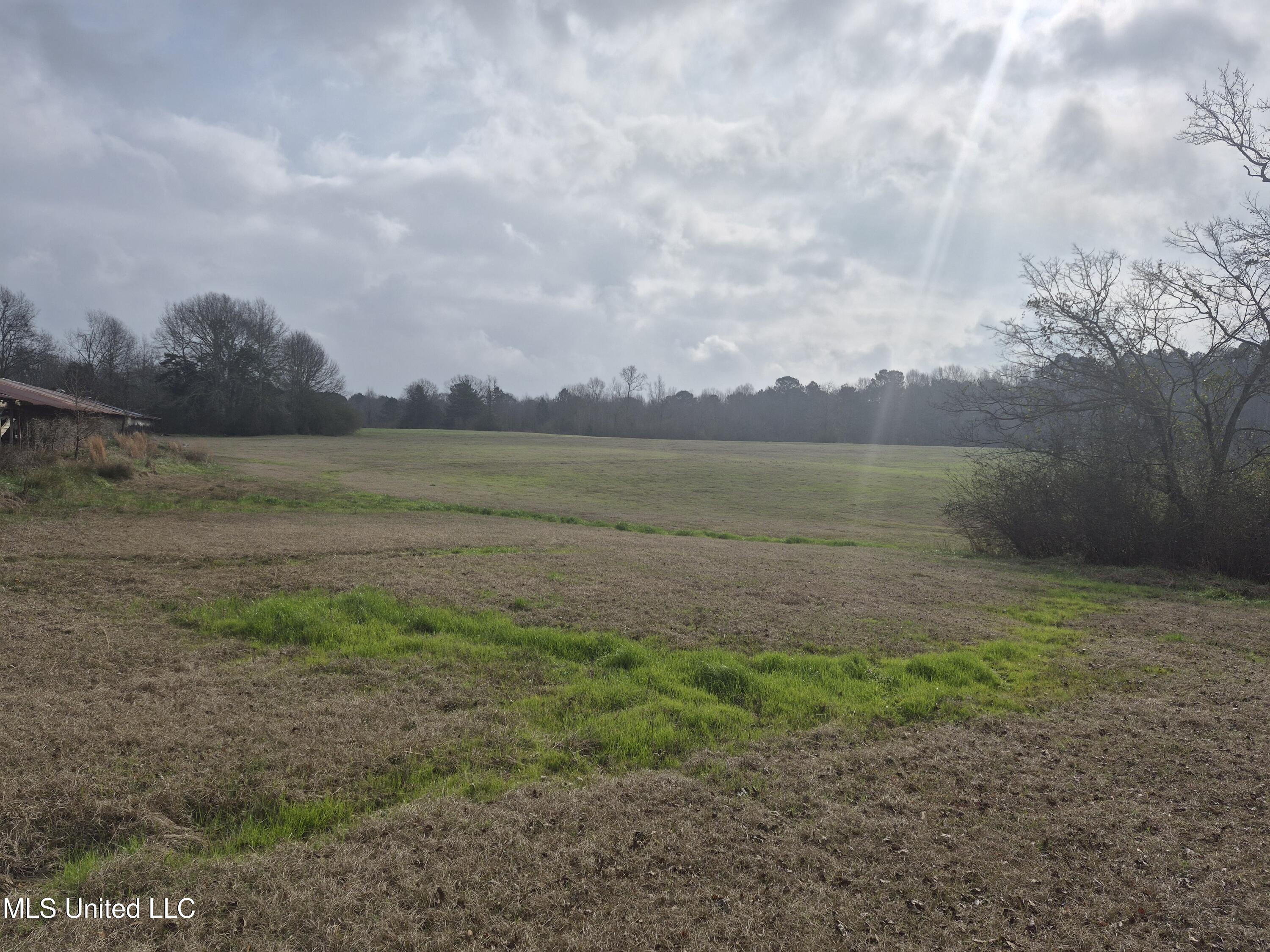 Pine Grove Road Walnut Grove, MS 39189 - Photo 2 of 9 7704
