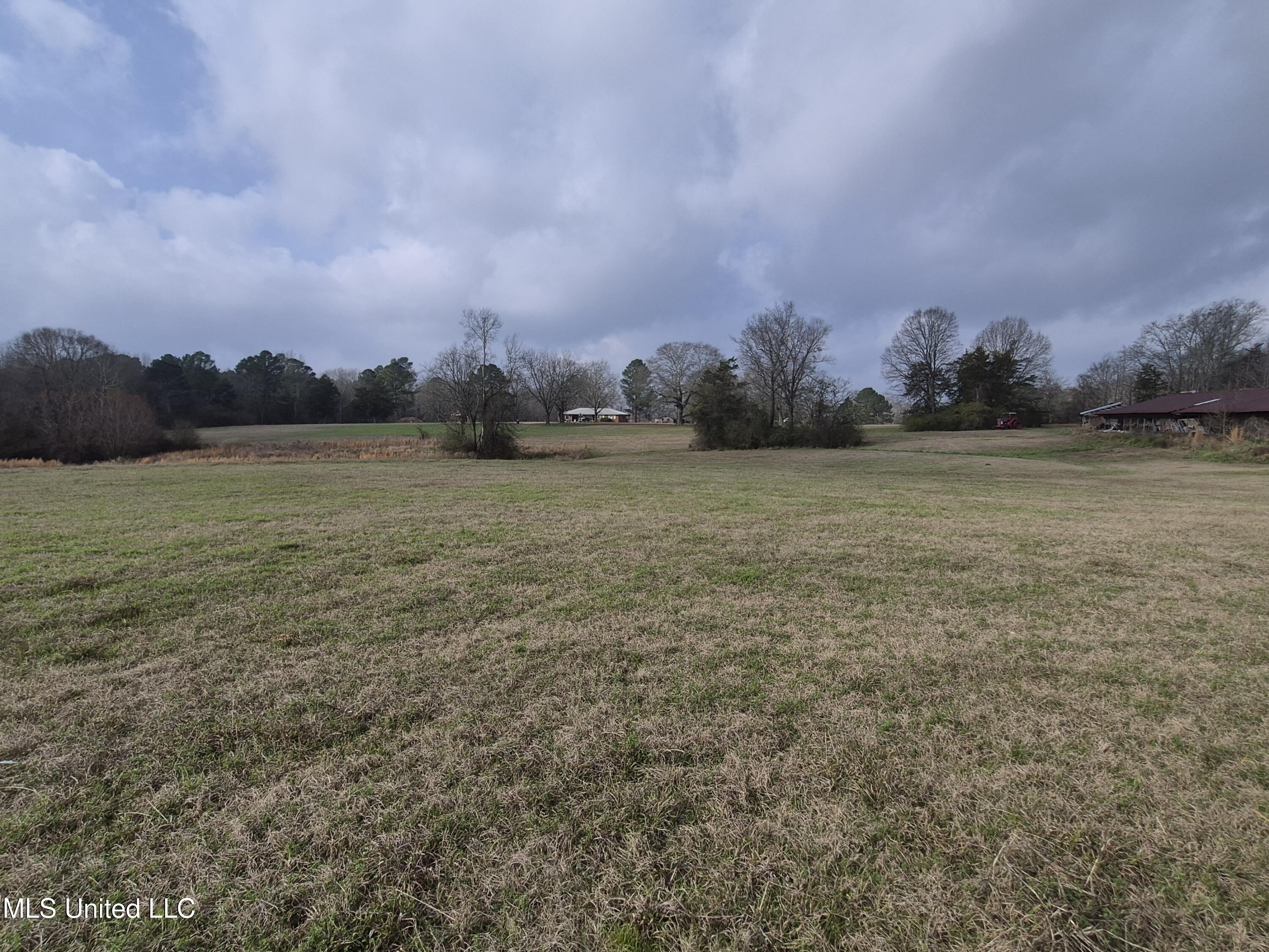 Pine Grove Road Walnut Grove, MS 39189 - Photo 4 of 9 7708