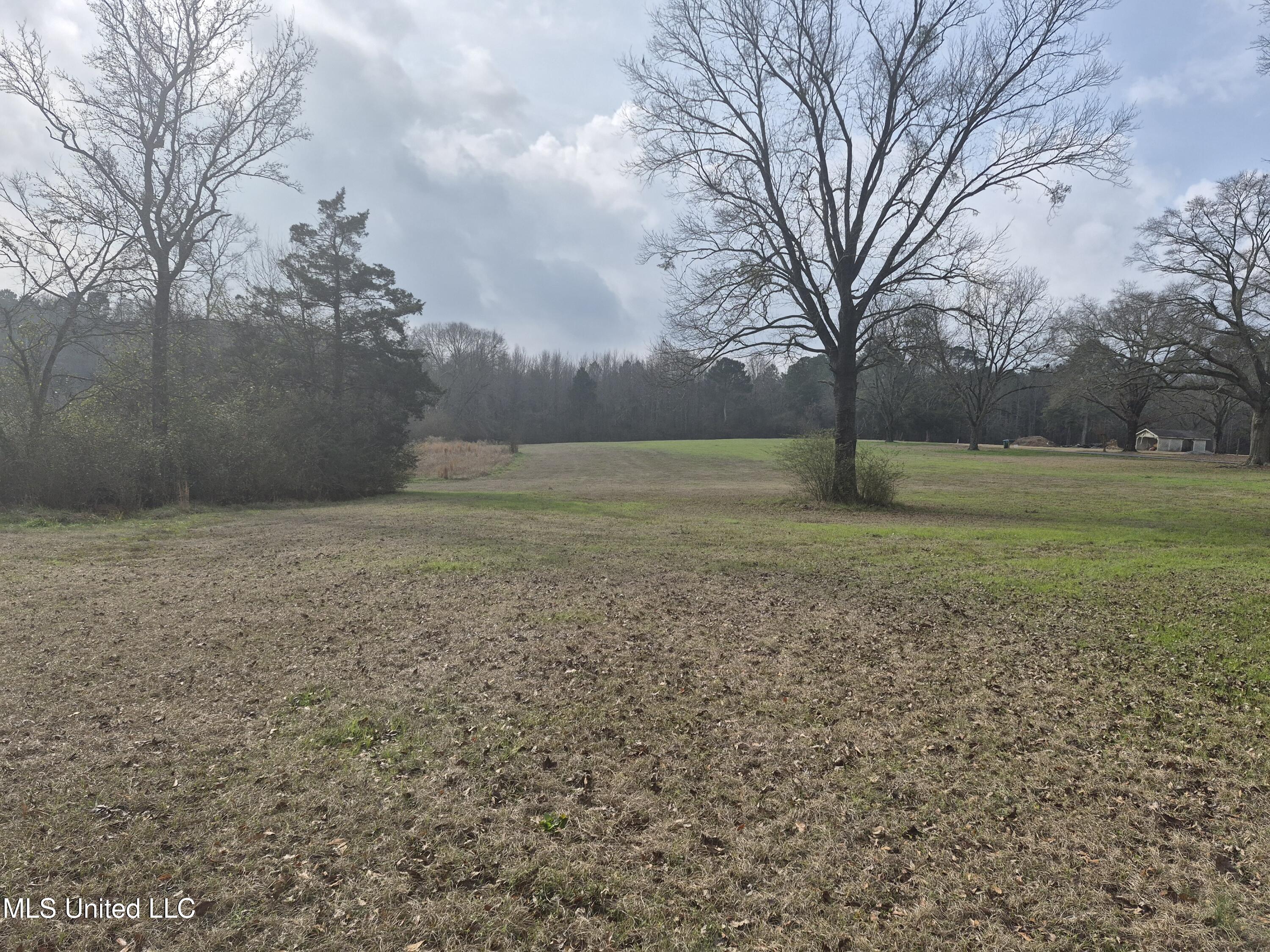 Pine Grove Road Walnut Grove, MS 39189 - Photo 8 of 9 7705