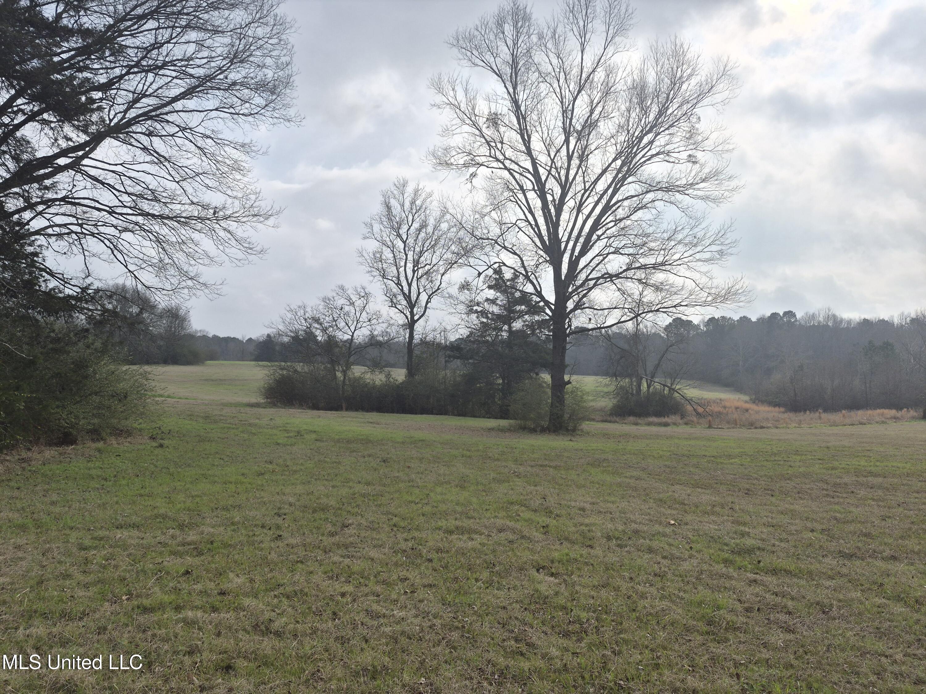 Pine Grove Road Walnut Grove, MS 39189 - Photo 9 of 9 7703