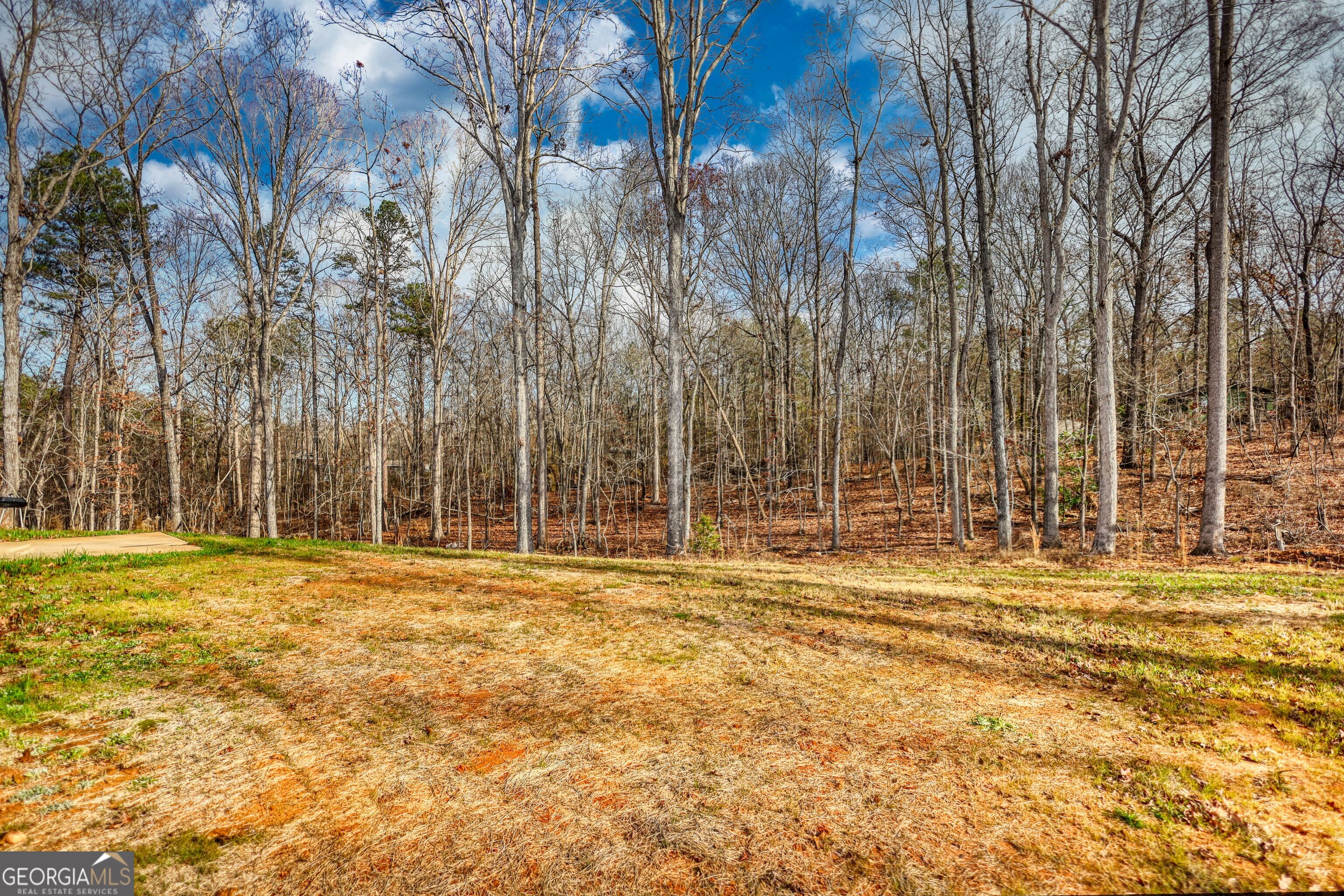 151 Rolling Woods Lane Colbert, GA 30628 - Photo 53 of 56