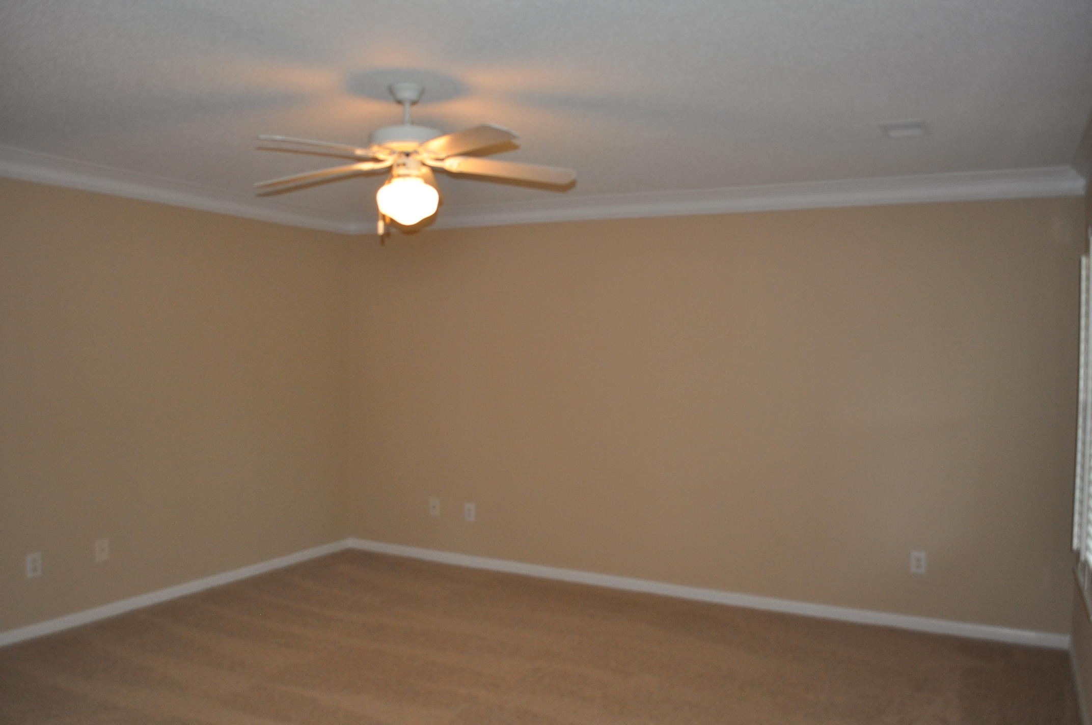 9234 Ayscough Road Summerville, SC 29485 - Photo 5 of 10 2016-04-12 10.50.27