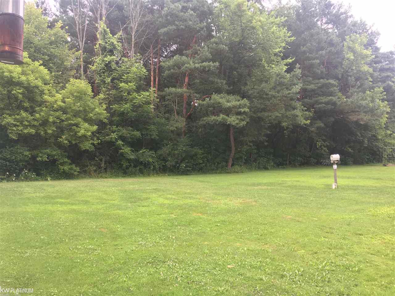 1884 Ditty Road Smiths Creek, MI 48074 - Photo 4 of 9 31354563-3.JPG