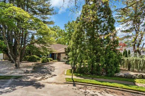 a view of a patio with a tree