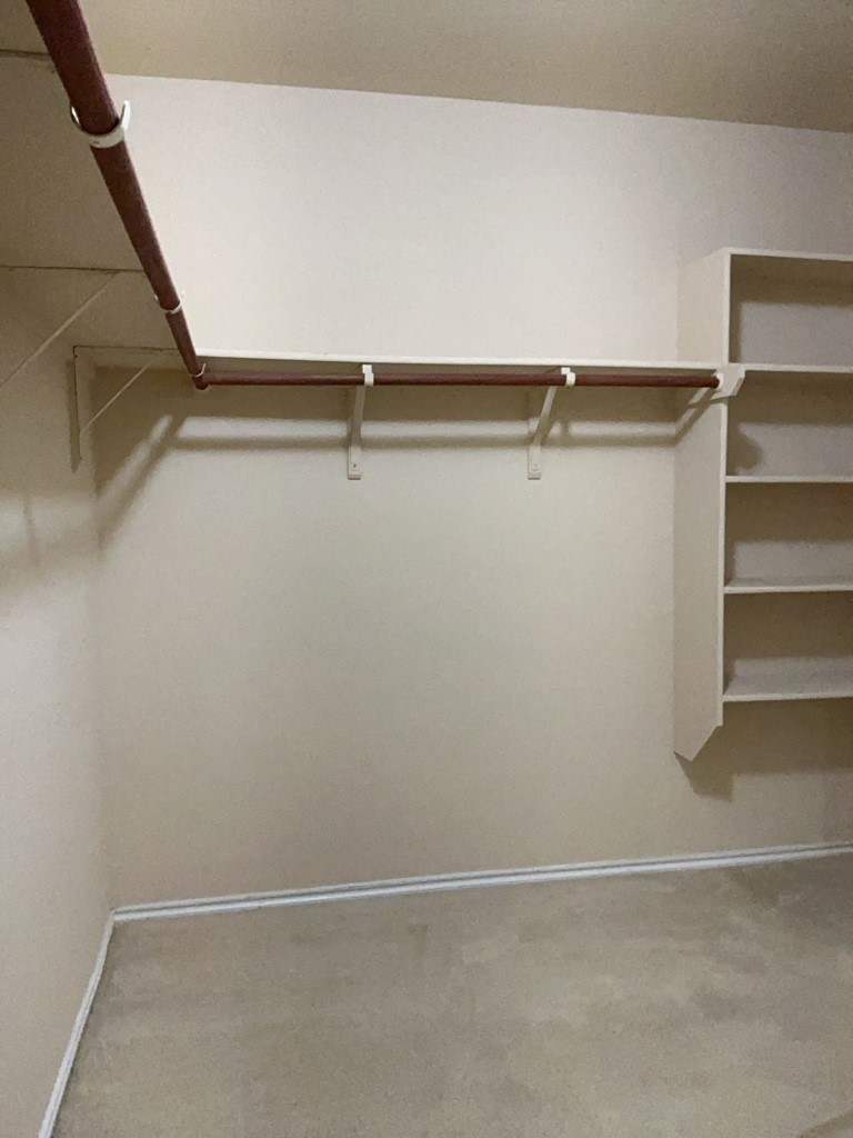 9005 Sun Shower Bend Austin, TX 78724 - Photo 14 of 20 Primary closet