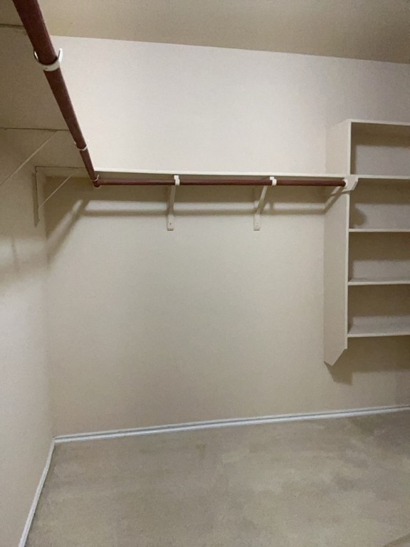 9005 Sun Shower Bend Austin, TX 78724 - Photo 14 of 20 a view of an empty walk in closet
