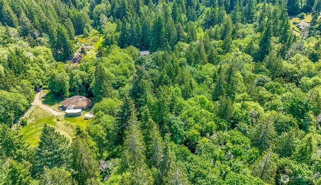 a aerial view of a yard