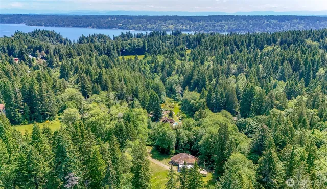 a view of a lush green forest with a building in the background