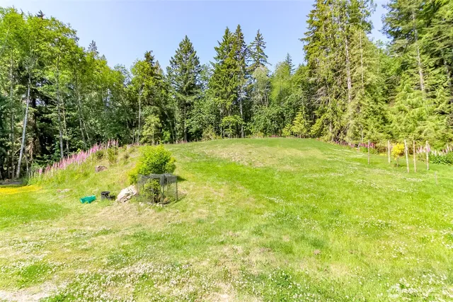 a swimming pool with lawn chairs and trees