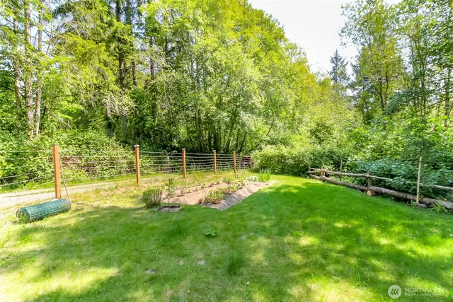 a view of a park with large trees