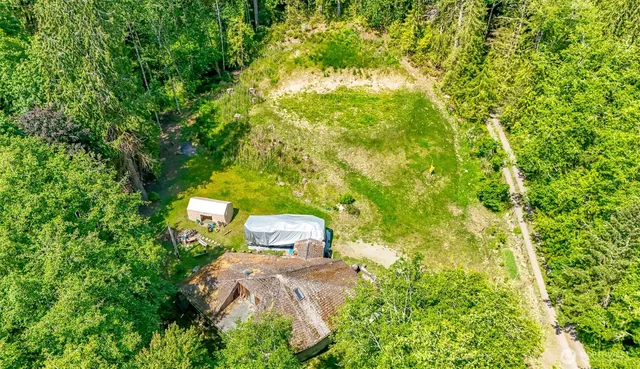 a view of a yard with large trees