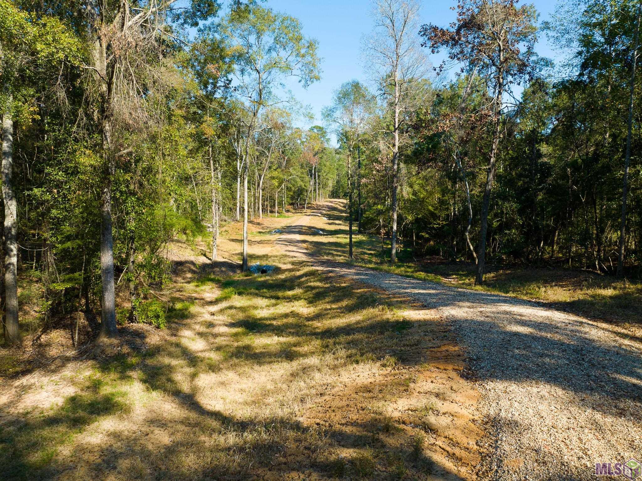 7340 Stirling Rd Street St. Francisville, LA 70775 - Photo 14 of 16