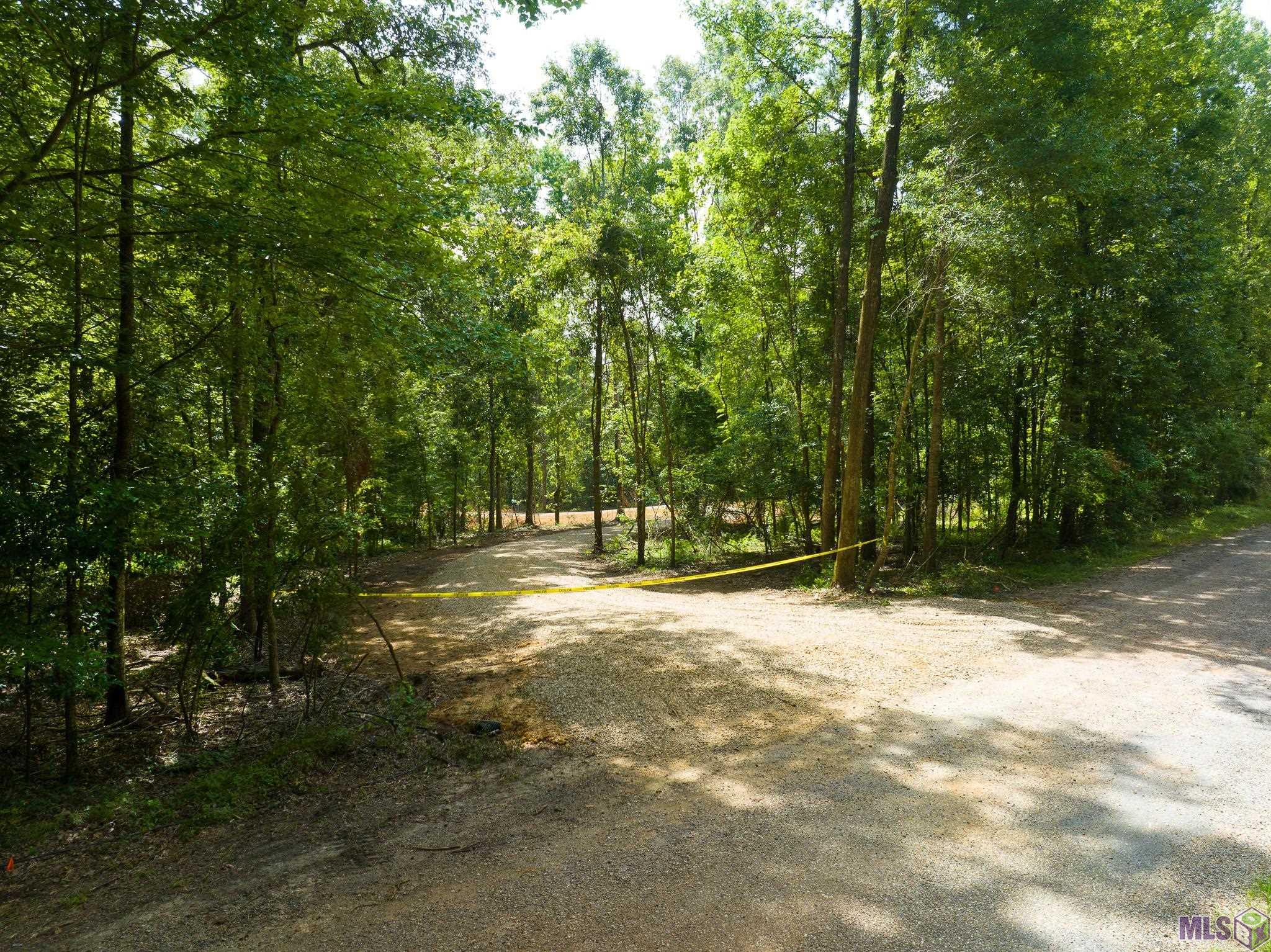 7340 Stirling Rd Street St. Francisville, LA 70775 - Photo 4 of 16