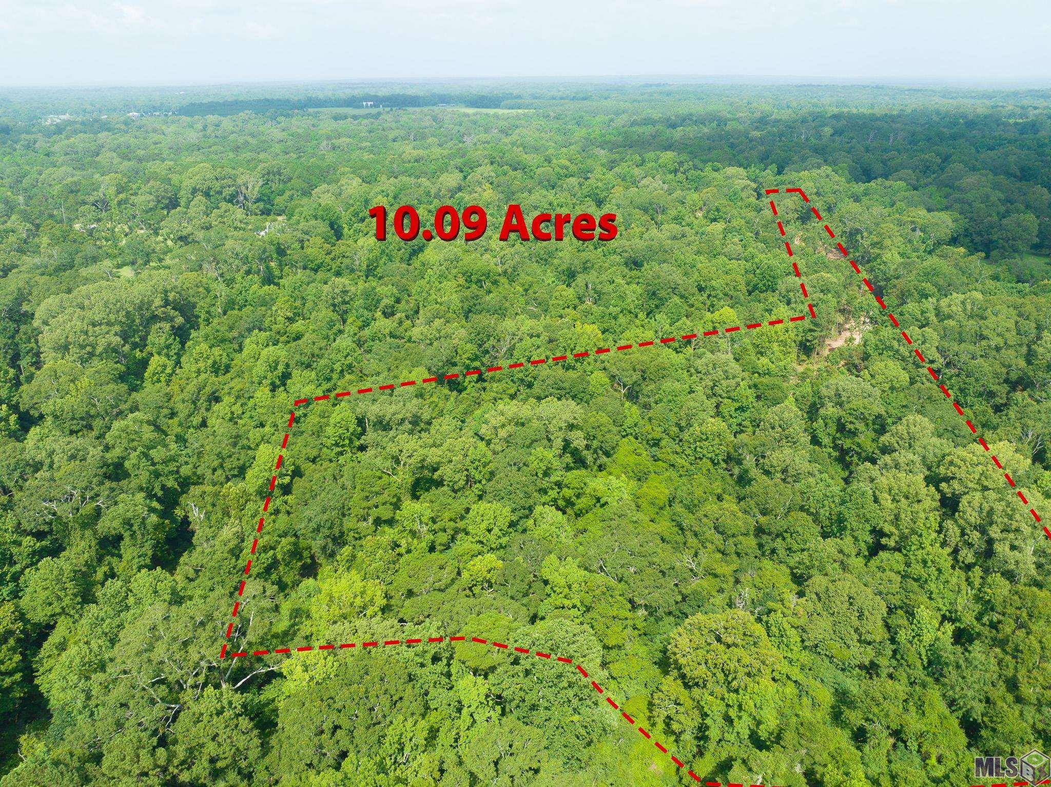 7340 Stirling Rd Street St. Francisville, LA 70775 - Photo 10 of 16