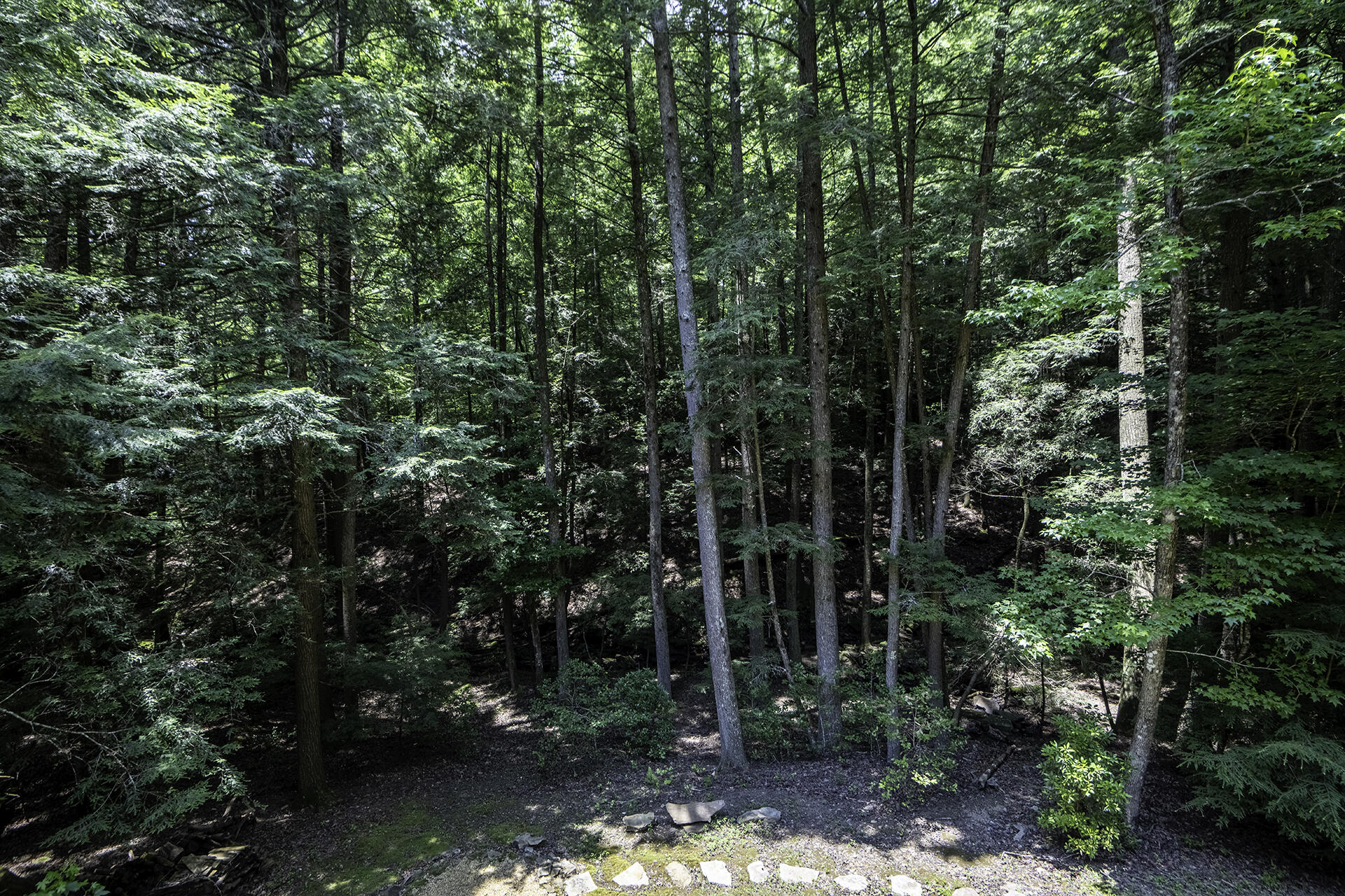 160 Tall Tree Trail Dunlap, TN 37327 - Photo 61 of 72 KHP94