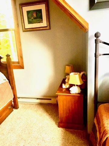 462 Roberts Ridge Road Slatyfork, WV 26291 - Photo 50 of 52 Gallery Image 50