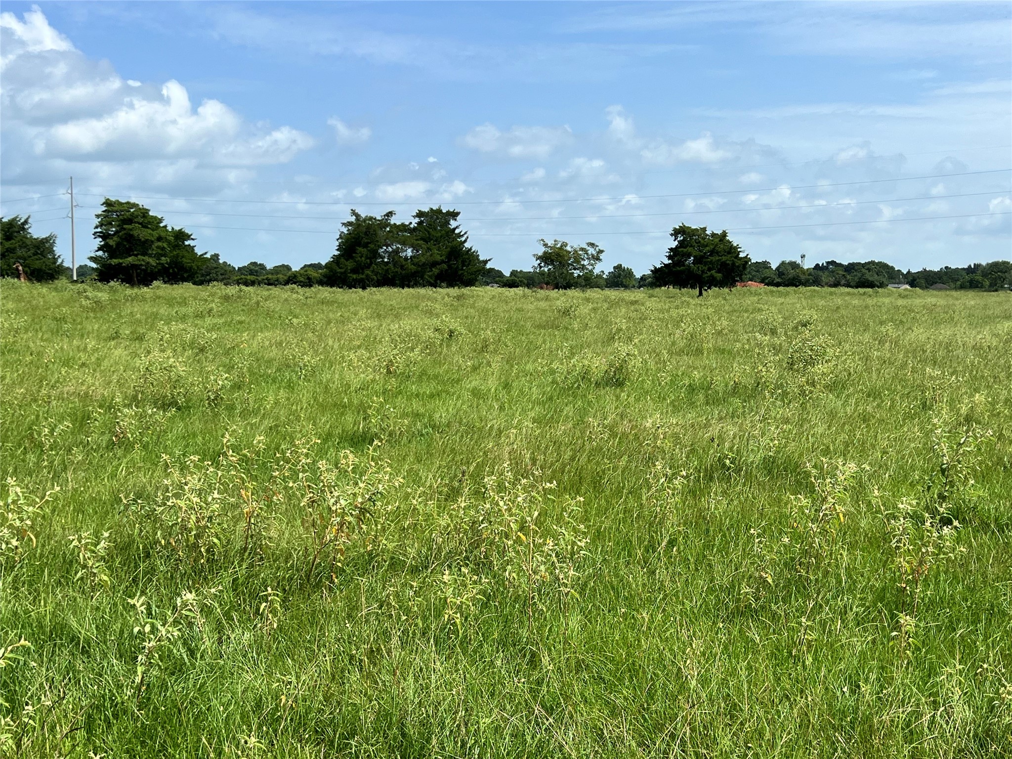 20573 Fontenot Lane Hempstead, TX 77445 - Photo 23 of 32