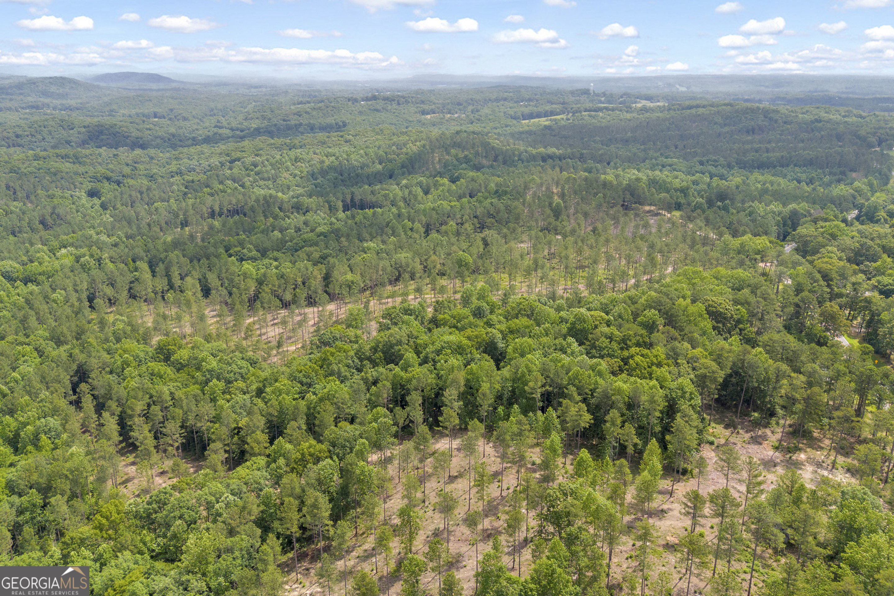 0 Mt Sinai Road, Unit LOT 1 Lula, GA 30554 - Photo 14 of 67