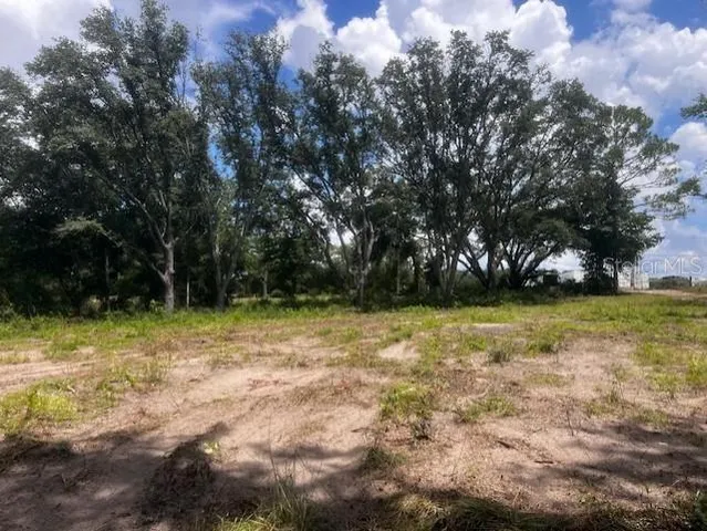 a view of backyard with green space