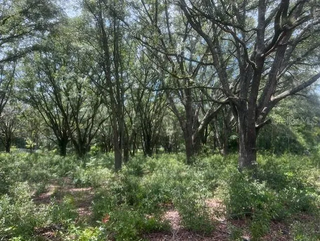a view of outdoor space and green space
