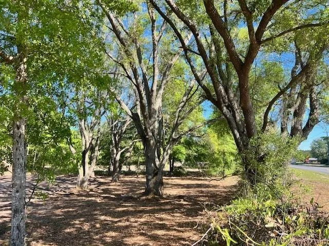 a view of a tree in the middle of a yard