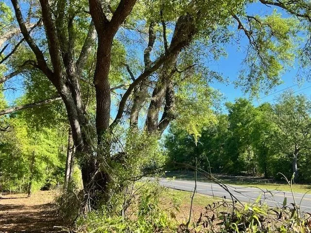 a view of an outdoor space