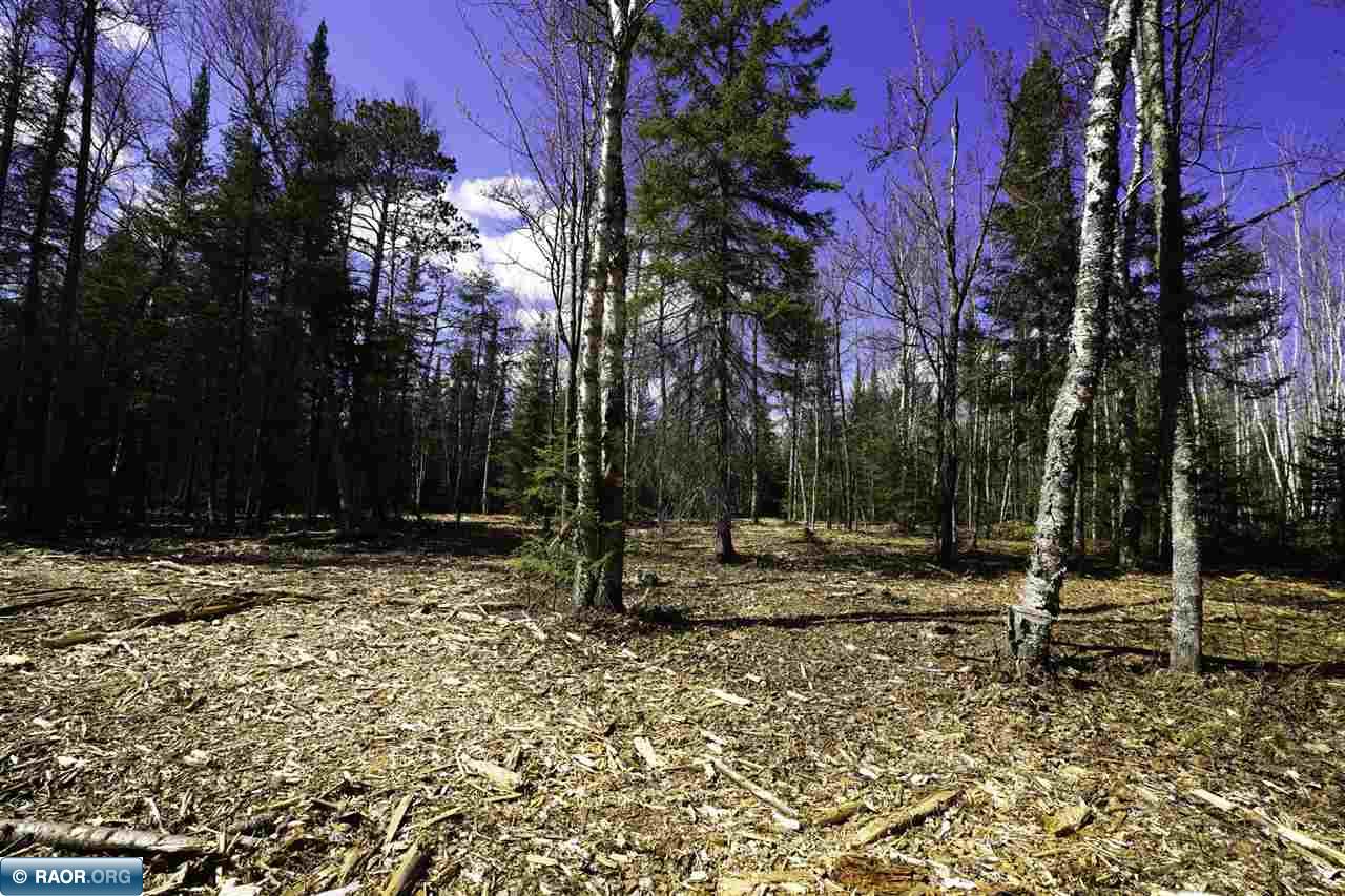 Tbd Parcel G Tbd Parcel G Frazer Bay Road Cook, MN 55723 - Photo 2 of 14
