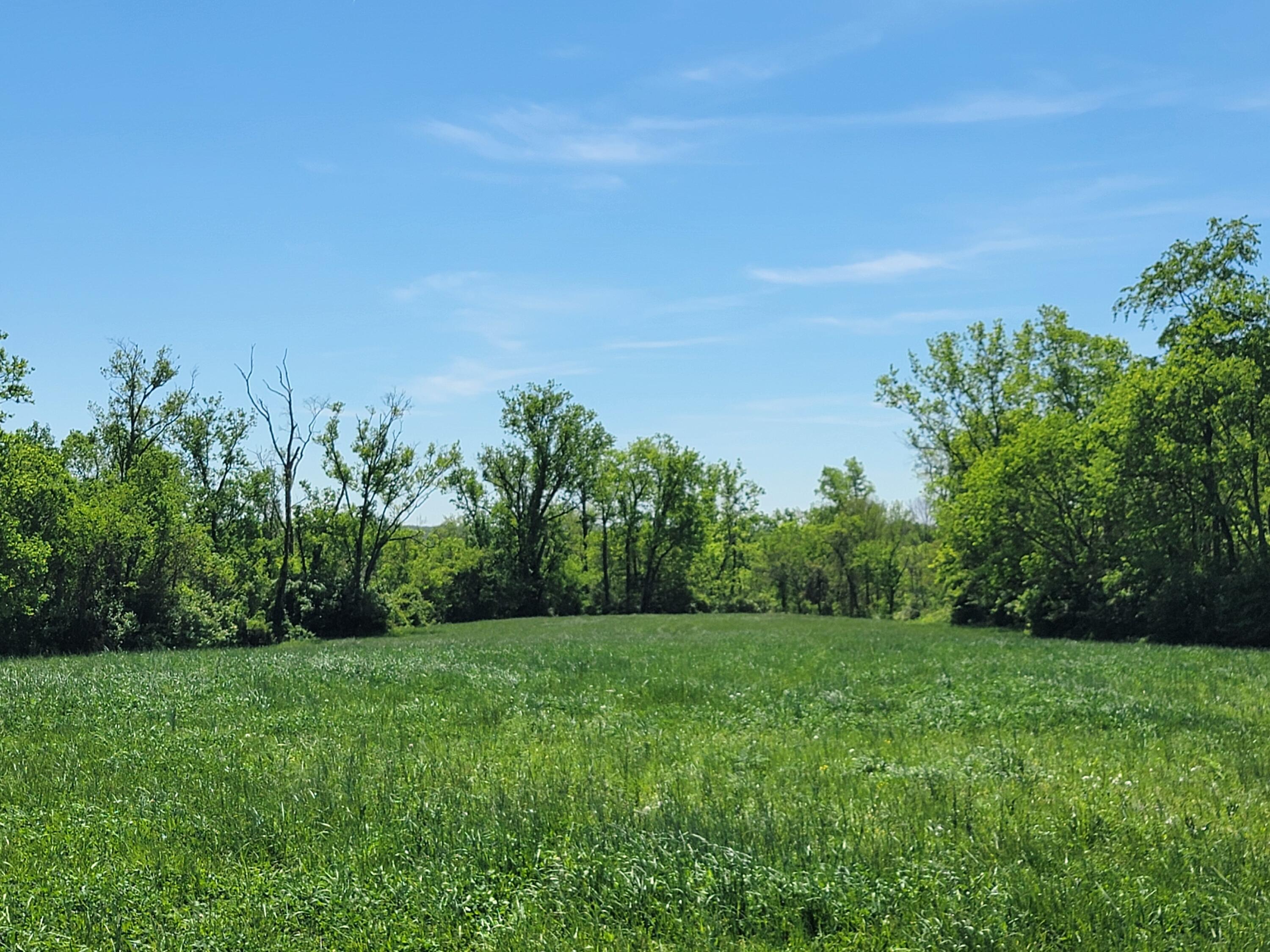 1557 Beaver Road Walton, KY 41094 - Photo 34 of 50 20260420_130203