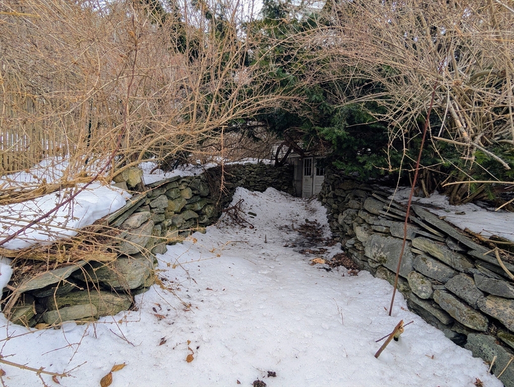 49 Enfield Road Pelham, MA 01002 - Photo 5 of 34 a view of a tree with a yard