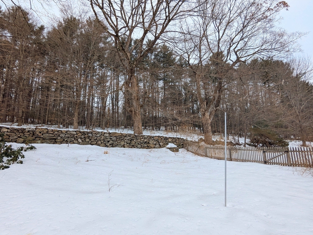 49 Enfield Road Pelham, MA 01002 - Photo 7 of 34 a view of a yard covered with snow in the yard