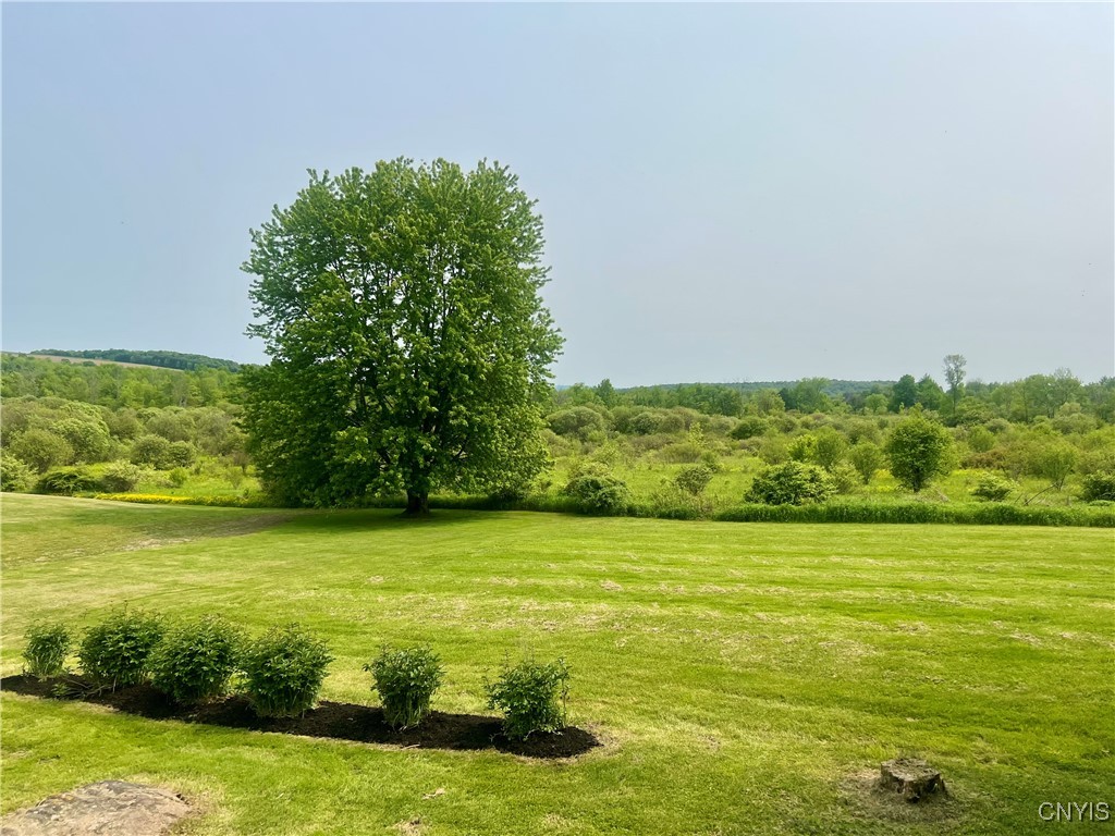 464 Foster Moore Road Homer, NY 13045 - Photo 30 of 30