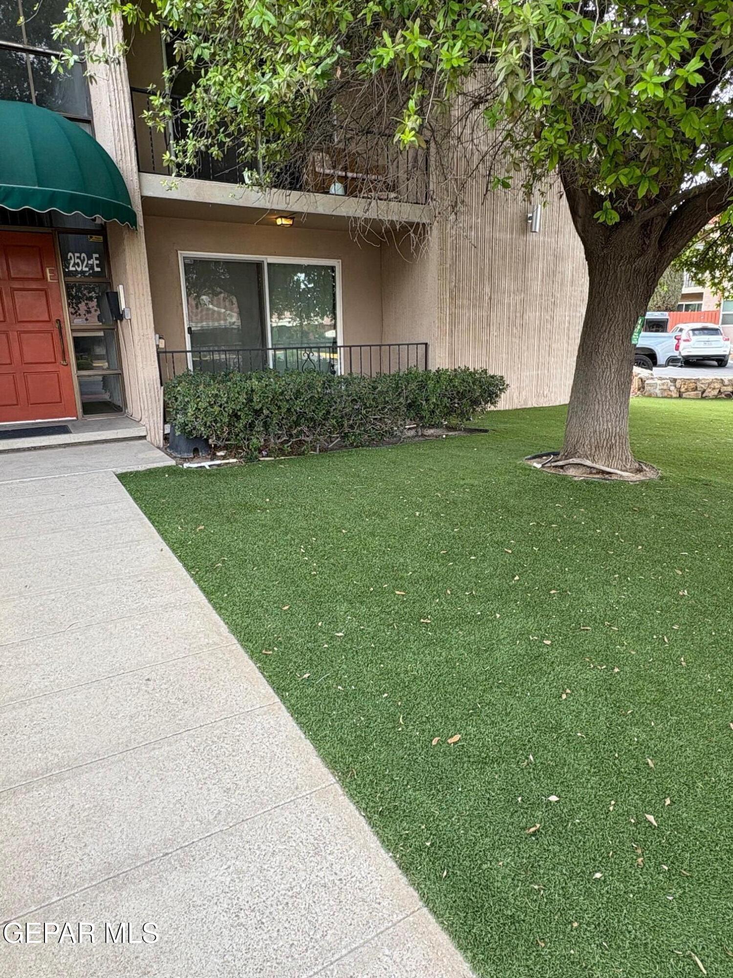 a view of a yard in front of a house with large tree