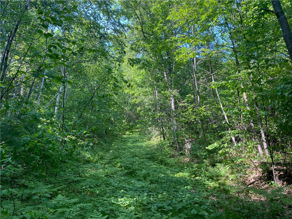 Lot 7 Secluded Trail Hayward, WI 54843 - Photo 38 of 41
