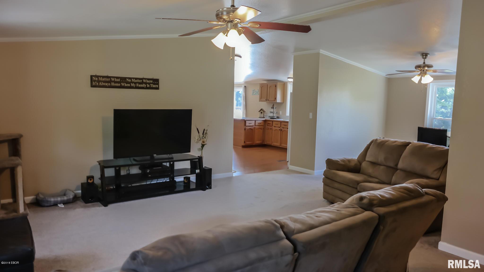 14003 Mustang Road Marion, IL 62959 - Photo 3 of 34