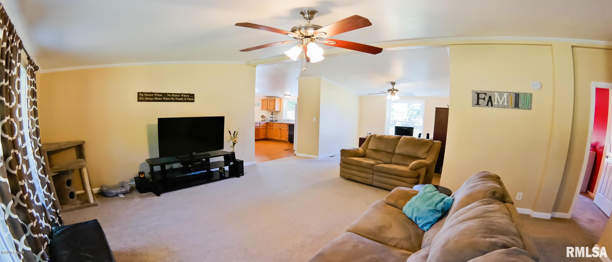 14003 Mustang Road Marion, IL 62959 - Photo 4 of 34