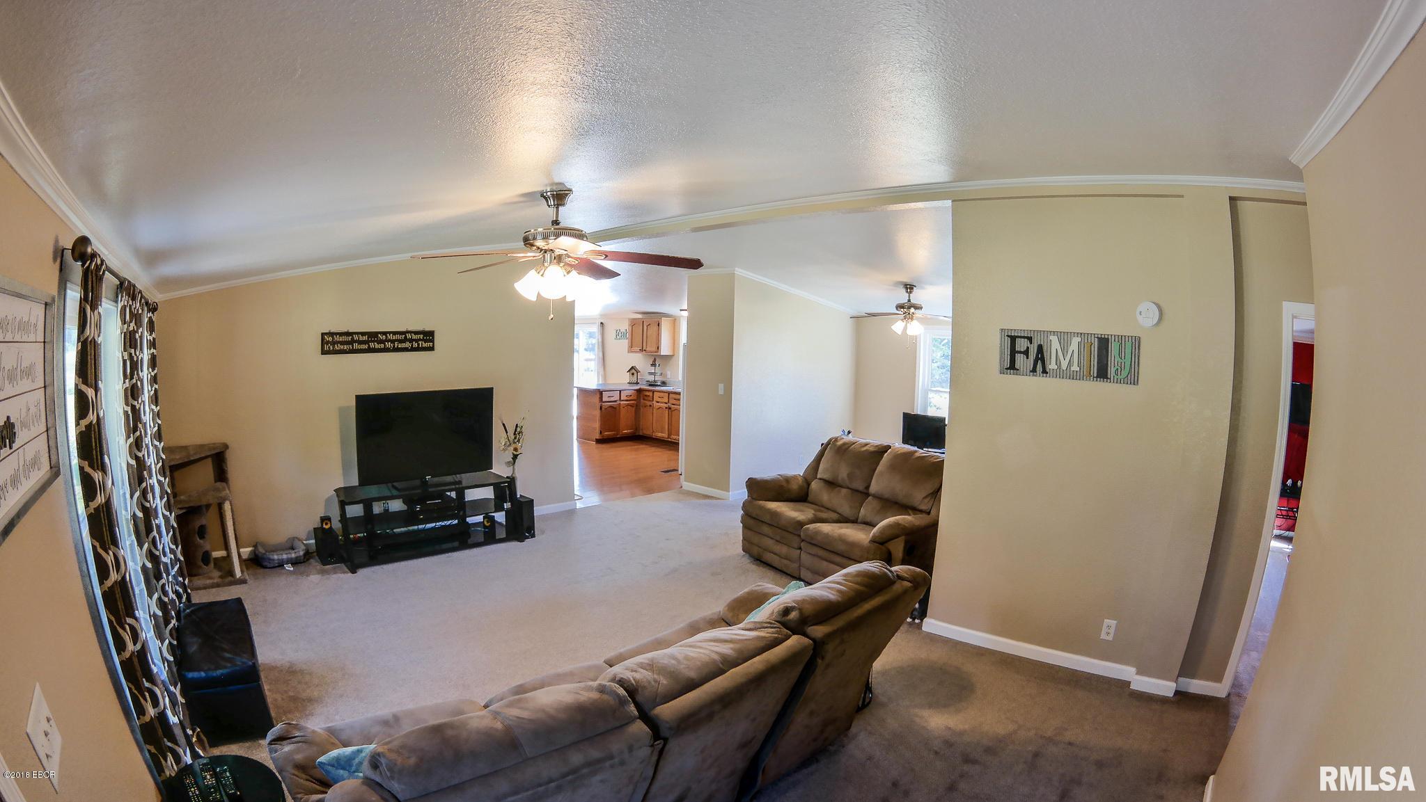 14003 Mustang Road Marion, IL 62959 - Photo 5 of 34