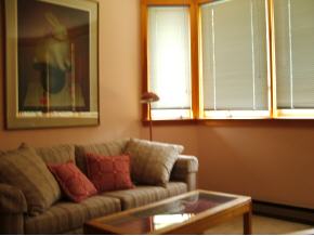 12 Slopeside Road, Unit 12 West Dover, VT 05356 - Photo 8 of 12 Gallery Image 8