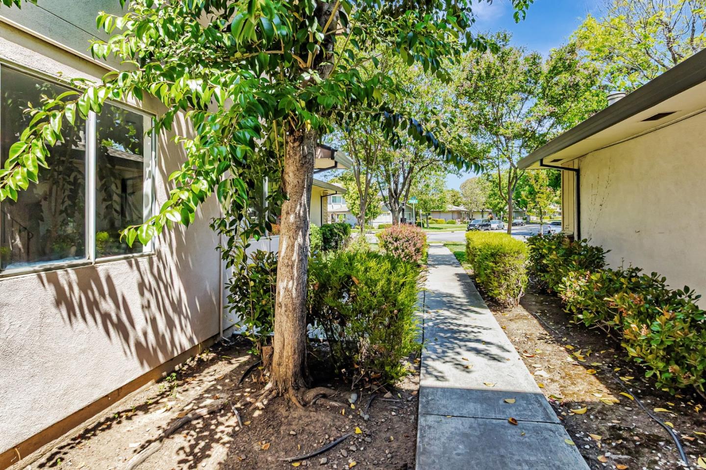 4643 Capay Drive, Unit 3 San Jose, CA 95118 - Photo 28 of 28 a view of a backyard with pathway