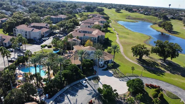 a view of a flower in a garden