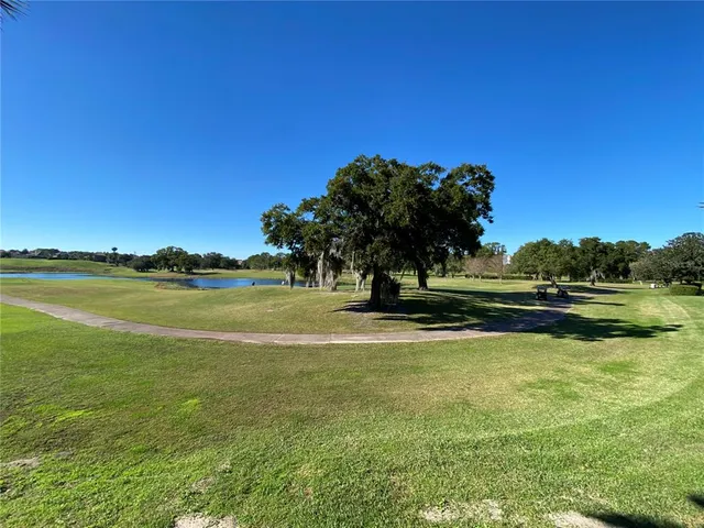 a view of an ocean from a yard