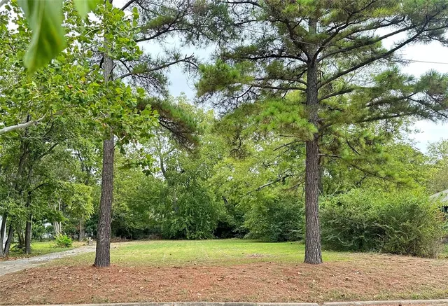 a view of a park with a tree
