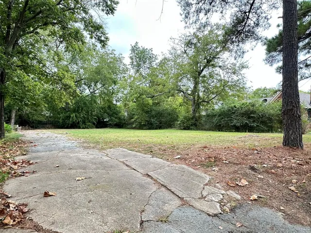 a view of a yard with a tree