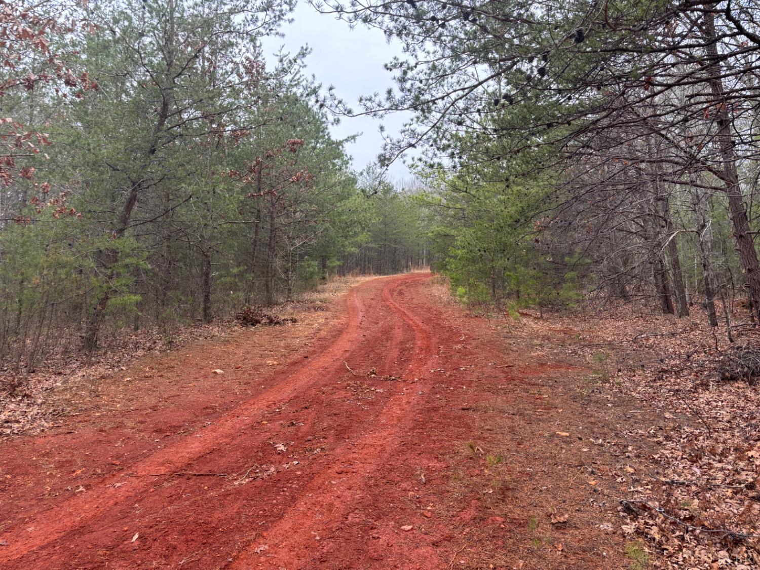 2724 West Perch Road Monroe, VA 24574 - Photo 11 of 14 a view of backyard with green space