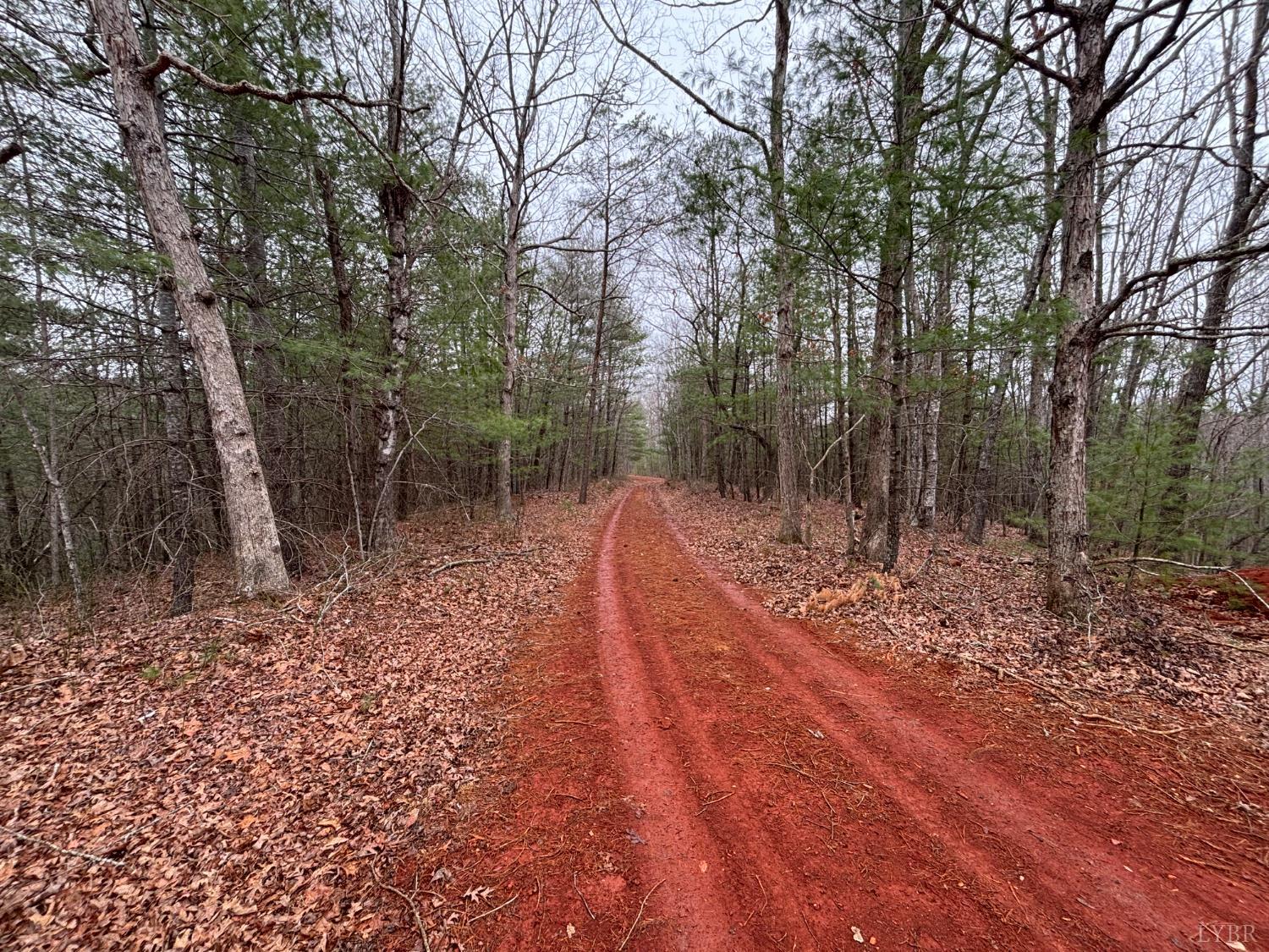 2724 West Perch Road Monroe, VA 24574 - Photo 13 of 14 a view of a yard with large trees